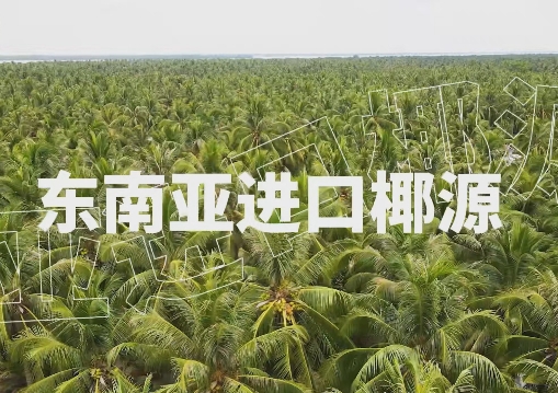 ںϣ100%Ҭˮ{ʲôɞ̽^ęn